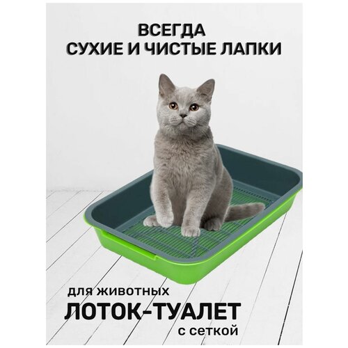 лоток туалет для котят с сеткой 25 5х36 5х9 5 см бежево коричневый Туалет средний с сеткой/Лоток для животных/Туалет для животных/Для кошек/Для собак /36х26х6,5см