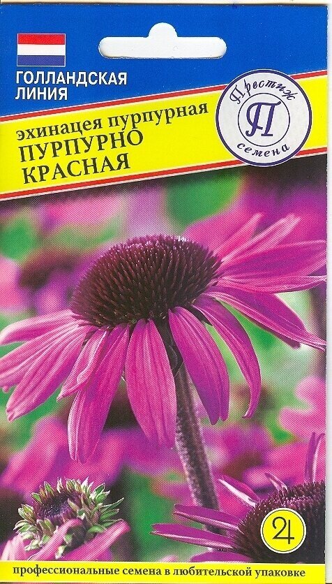 Эхинацея пурпурная Пурпурно красная. Семена. Многолетнее травянистое растение высотой до 1 м. Соцветия крупные до 12 см. в диаметре