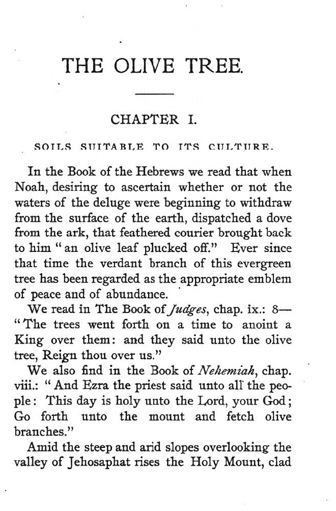 A practical Treatise on olive culture, oil making and olive pickling - фото №2