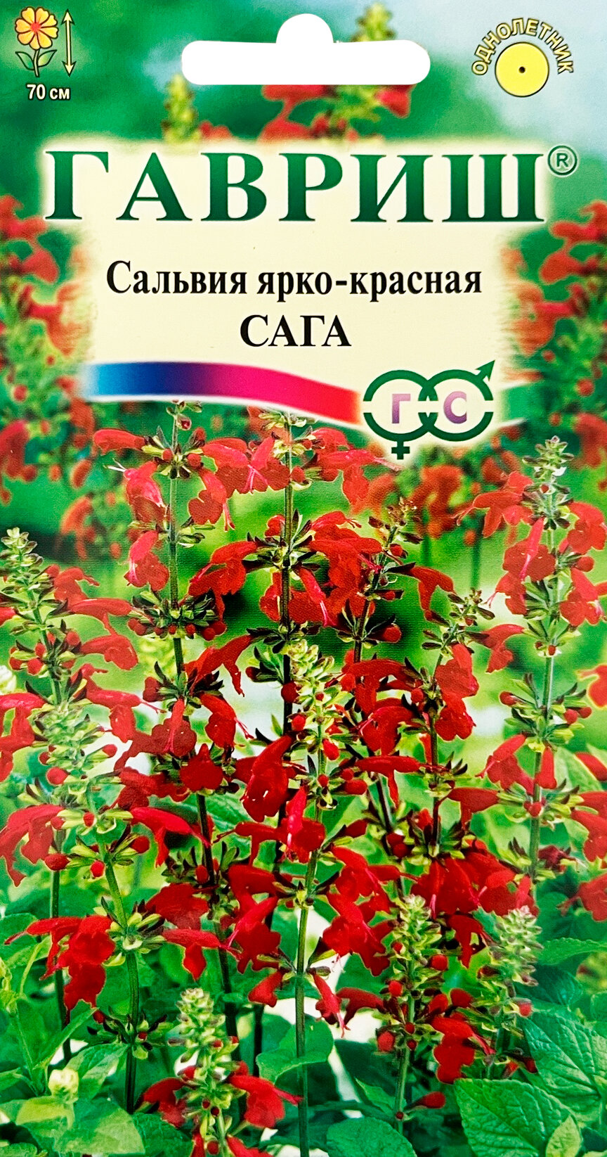 Семена Гавриш Сальвия Сага ярко-красная 0,05 г — фото 2