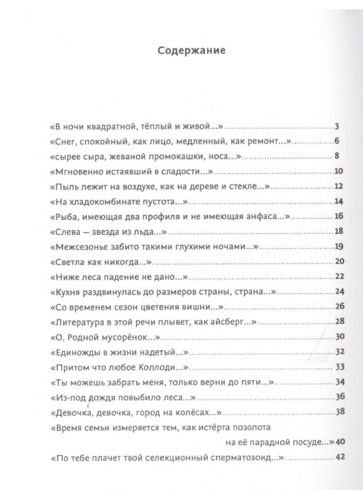 Кот, лошадь, трамвай, медведь (Сальников Алексей Борисович, Маноцкова Юлия (иллюстратор)) - фото №4