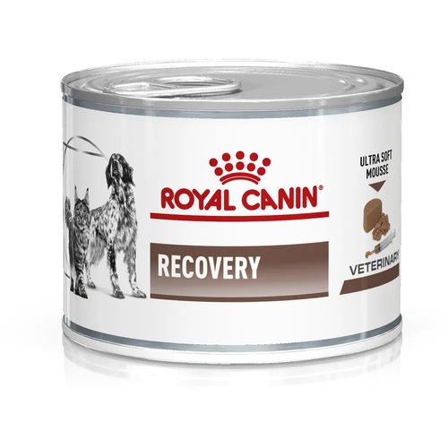 Влажный корм для собак и кошек Royal Canin Recovery в период восстановления после операции 2шт. х 195 г корм для кошек royal canin calm cc 36 в период восстановления при стрессе 2 кг