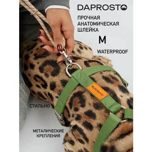 Дизайнерская шлейка прогулочная waterproof DAPROSTO "Green Joy", нейлон, для средних собак, размер M