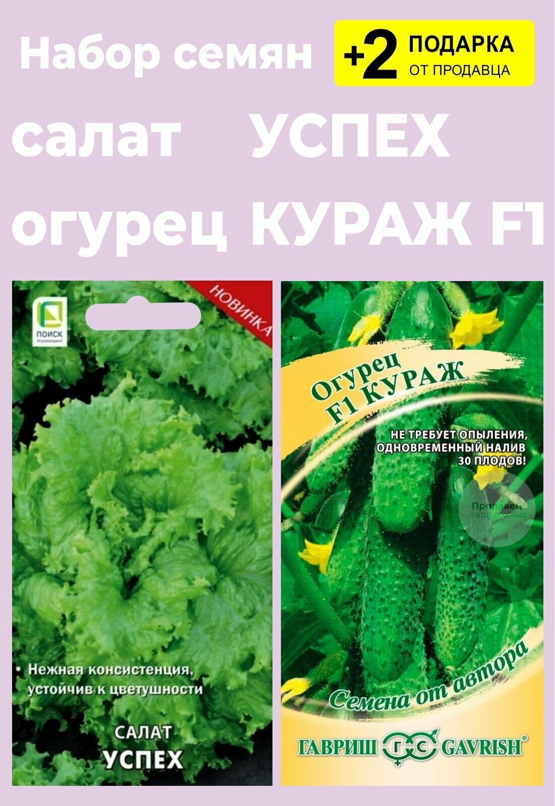 Набор семян: Салат "Успех" 1 гр. + Огурец "Кураж F1" + 2 Подарка