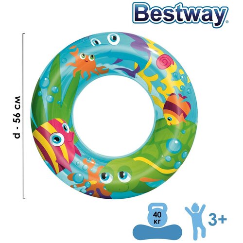       , d=56 ,  , 36013 Bestway