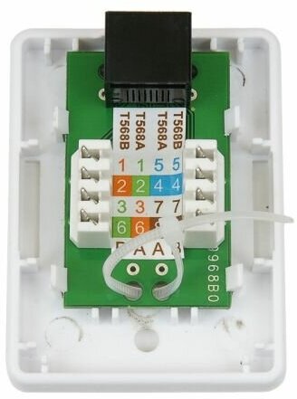 Cabeus WS-8P8C-Cat.5e-1 Розетка компьютерная RJ-45, категория 5e, одинарная, внешняя, Dual IDC - фотография № 3