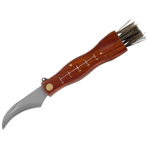 нож грибника малый деревянная рукоятка Специализированный нож грибника с деревянной рукояткой, острым лезвием и кисточкой из жесткой щетины, для удаления мелкого сора со шляпок.