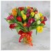 Букет живых цветов из 51 разноцветного махрового тюльпана
