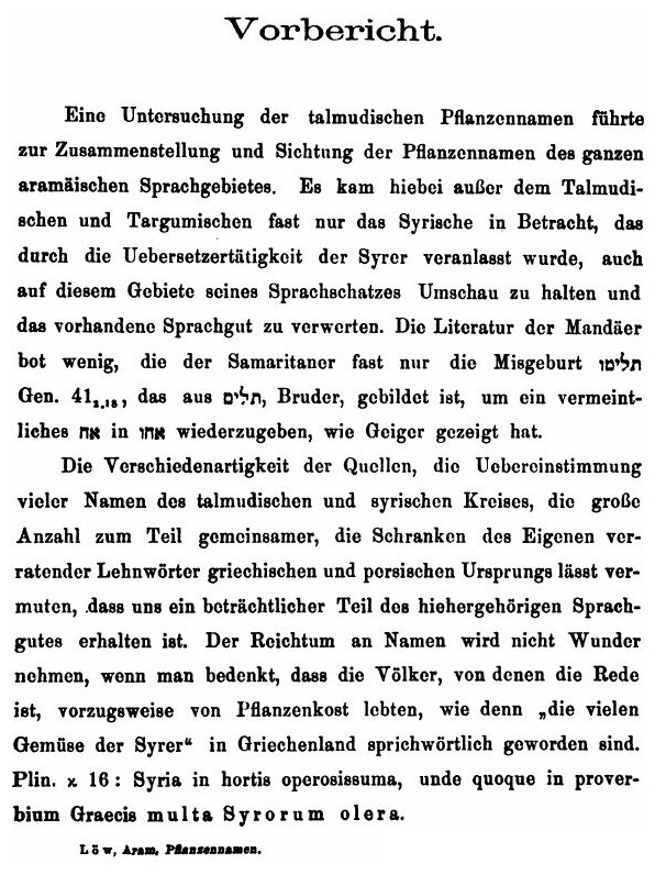 Aramaeische pflanzennamen (Immanuel Low) - фото №5
