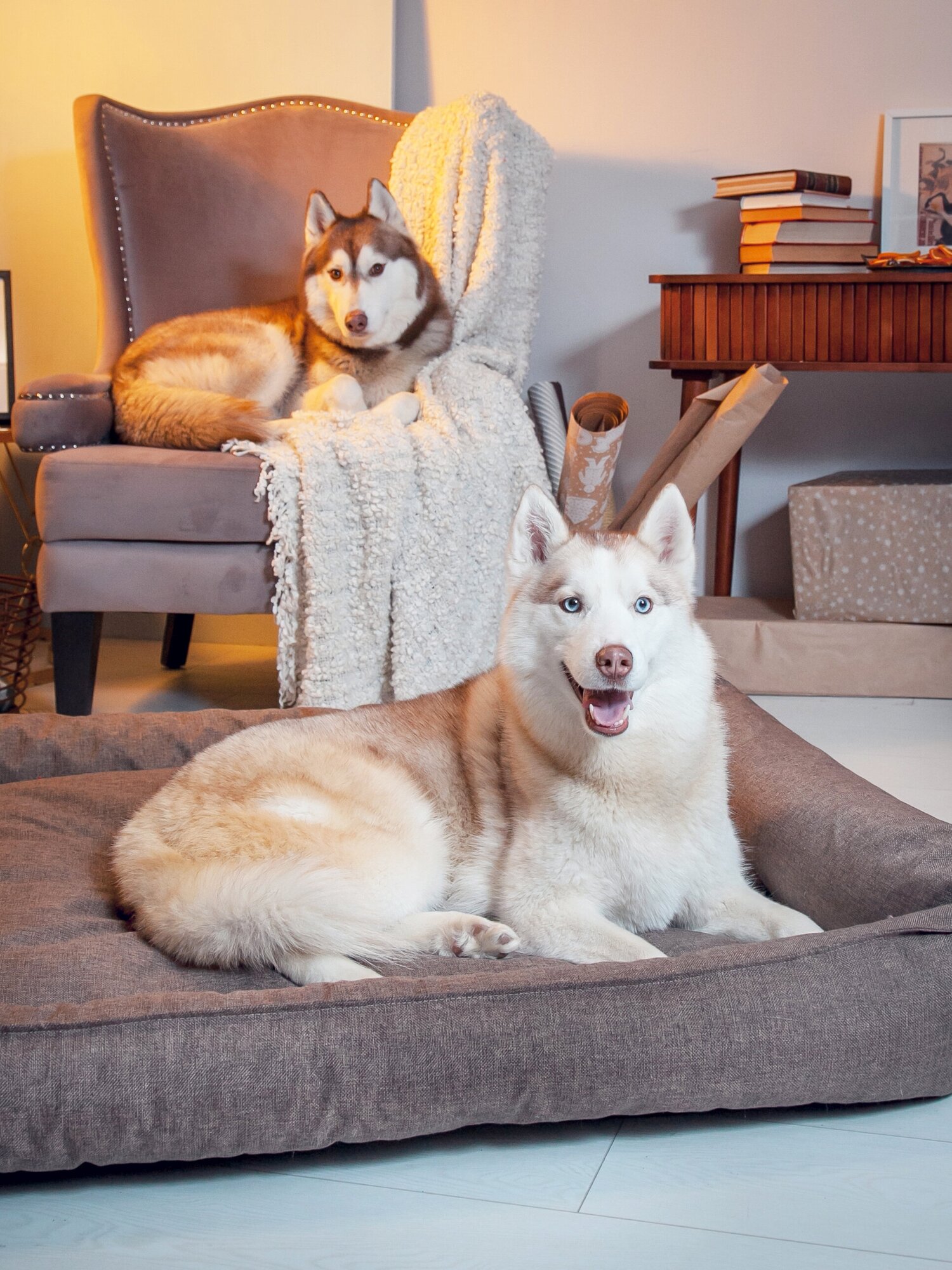 Лежанка со съёмным чехлом Beast. для собак крупных и средних пород, цвет: светло-коричневый, 100x70 см - фотография № 2