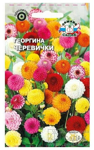 Семена Георга СеДеК 
