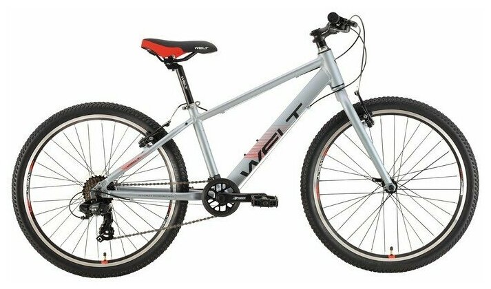 Велосипед Welt Peak 24 R metal grey (2021) 24"