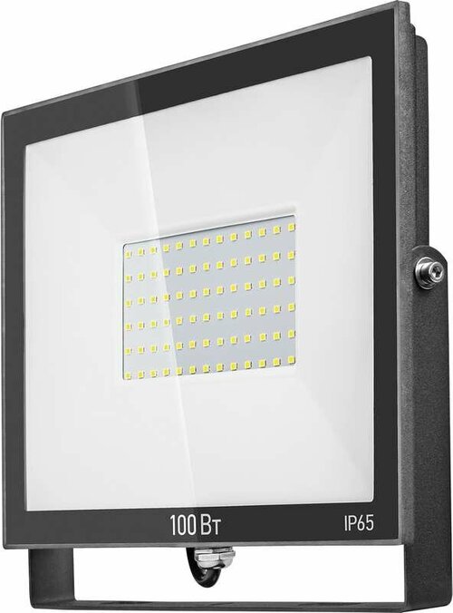 Прожектор 61 947 OFL-100-4K-BL-IP65-LED онлайт 61947 (2шт. в упак.)