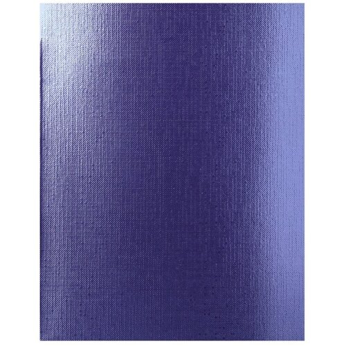Hatber упаковка тетрадей METALLIC 64770, 5 шт., клетка, 48 л., 48 шт., фиолетовый