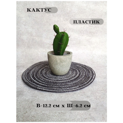 Искусственное растение/Кактус/Декор для дома/Растения для интерьера