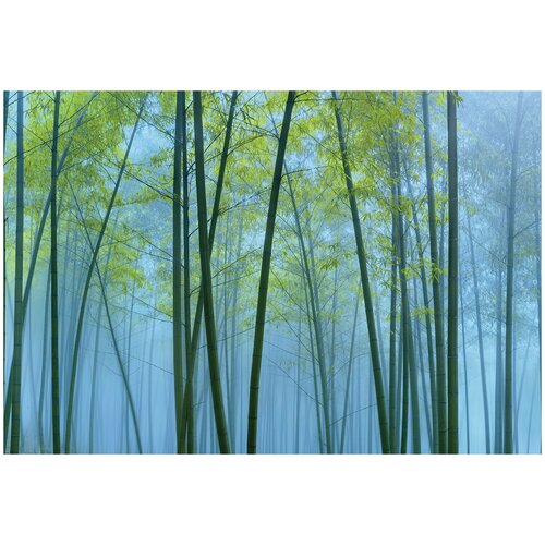Фотообои флизелин эко Бамбуковый лес 400х270 8100₽