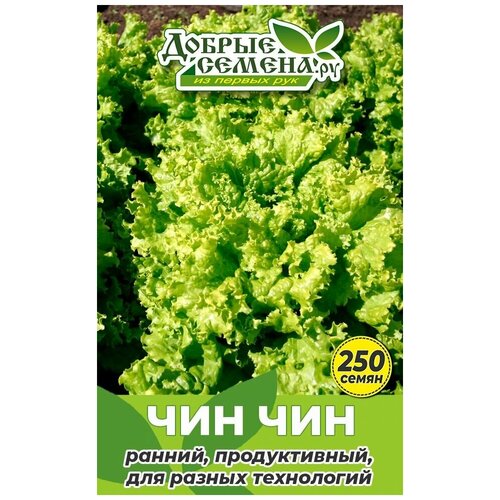 Семена салата Чин Чин - 250 шт - Добрые Семена. ру