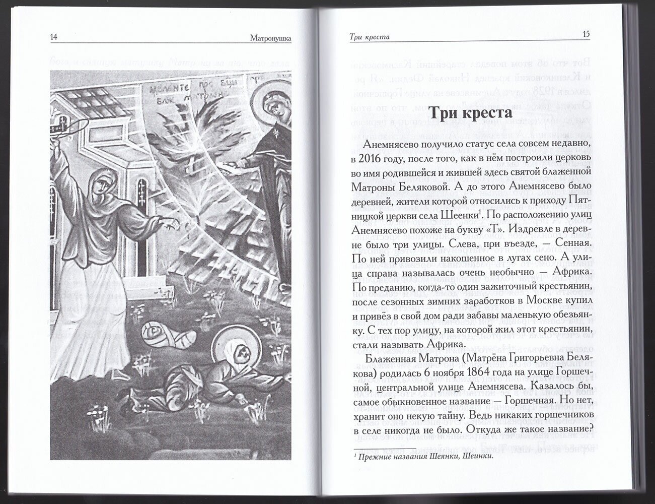 Матронушка. Рассказы о блаженной Матроне Анемнясевской (с приложением акафиста) - фото №9