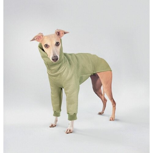 Одежда для собак, водолазка для собак из теплого футера, цвет пыльная роза, размер S36