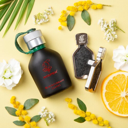 Автопарфюм, Ароматизатор для автомобиля Wisper Blackcurrant Leaves