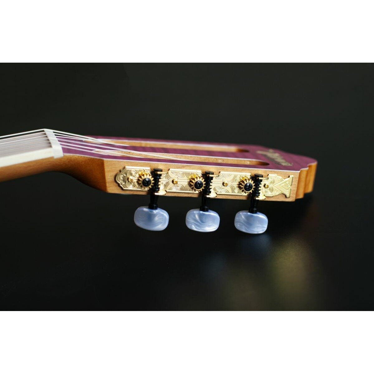 Классическая гитара Valencia VC354WR — фото 1