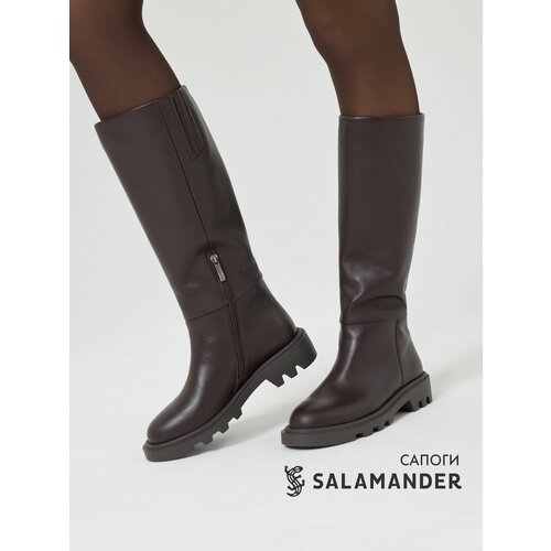 SALAMANDER 126-613A-2102