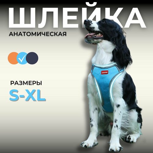 Шлейка для собак, прогулочная, голубой