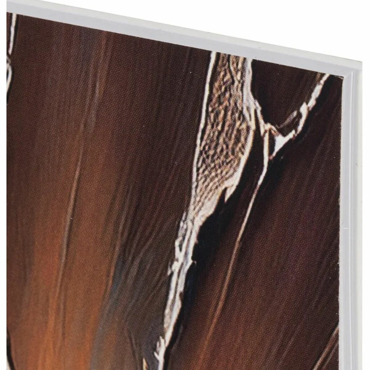 Альбом для рисования А4, 40л Комус Класс Nature (100 г/кв. м, спираль) набор 2шт. (2263164)
