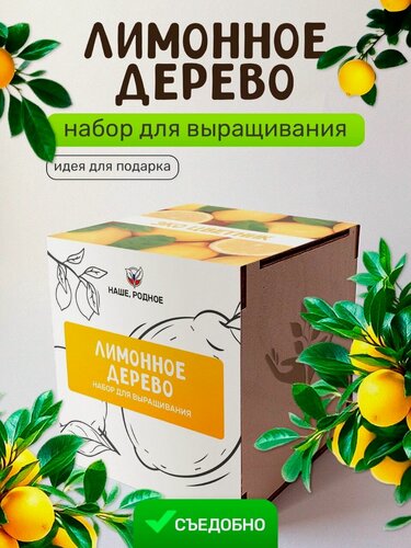 Изображение товара Набор для выращивания растений Сад на окне "Лимон", в деревянном горшочке