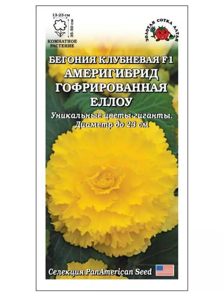 Бегония Америгибрид Еллоу F1 5шт.