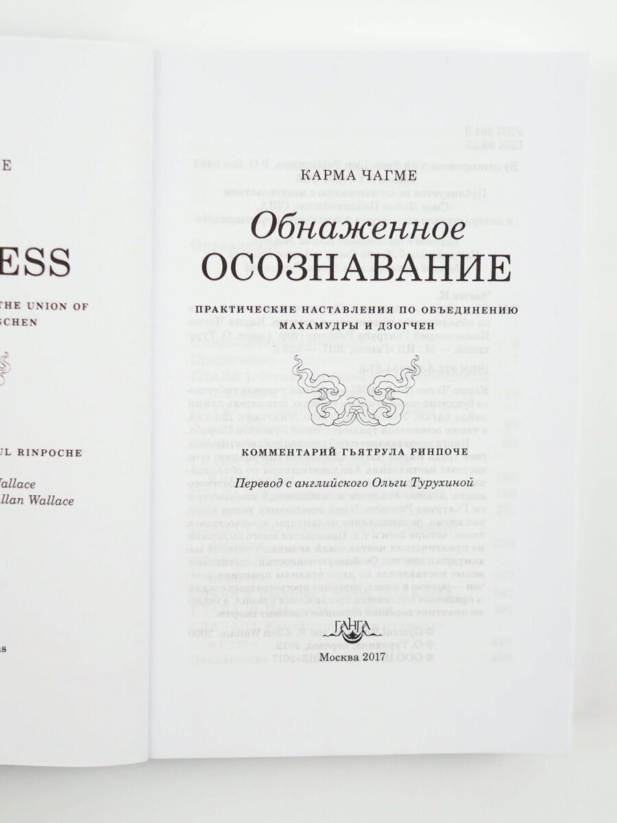 Обнаженное осознавание. Практические наставления по объединению махамудры и дзогчен - фото №5