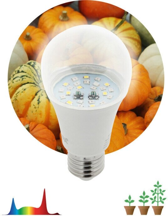 Лампа (LED) для растен. Груша Е27 11Вт полн. спектр 230В прозр. FITO ЭРА