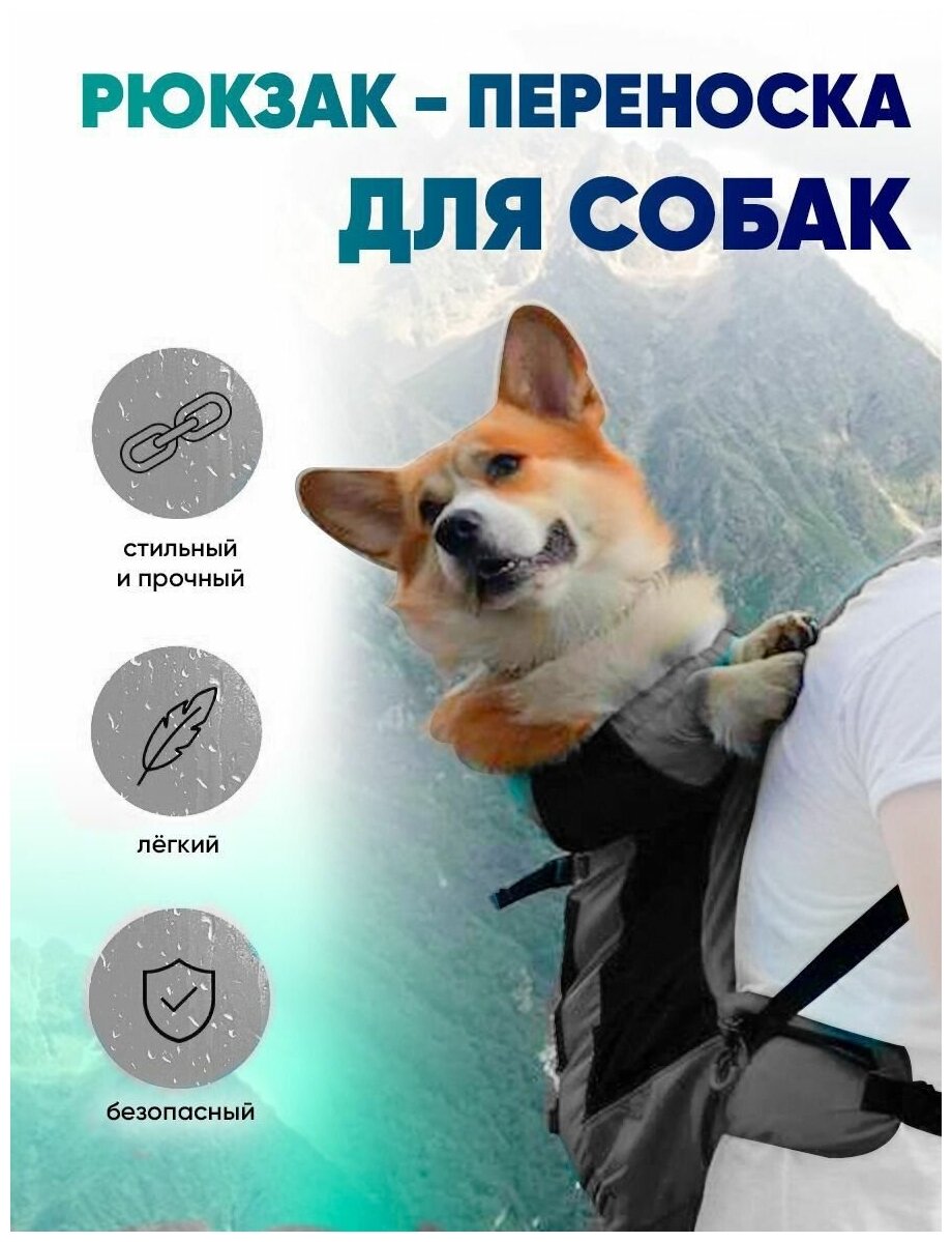Рюкзак-переноска для собак - фотография № 1
