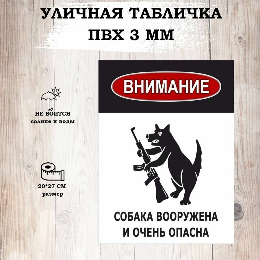 Табличка уличная "Осторожно злая собака" для интерьера информационная.
