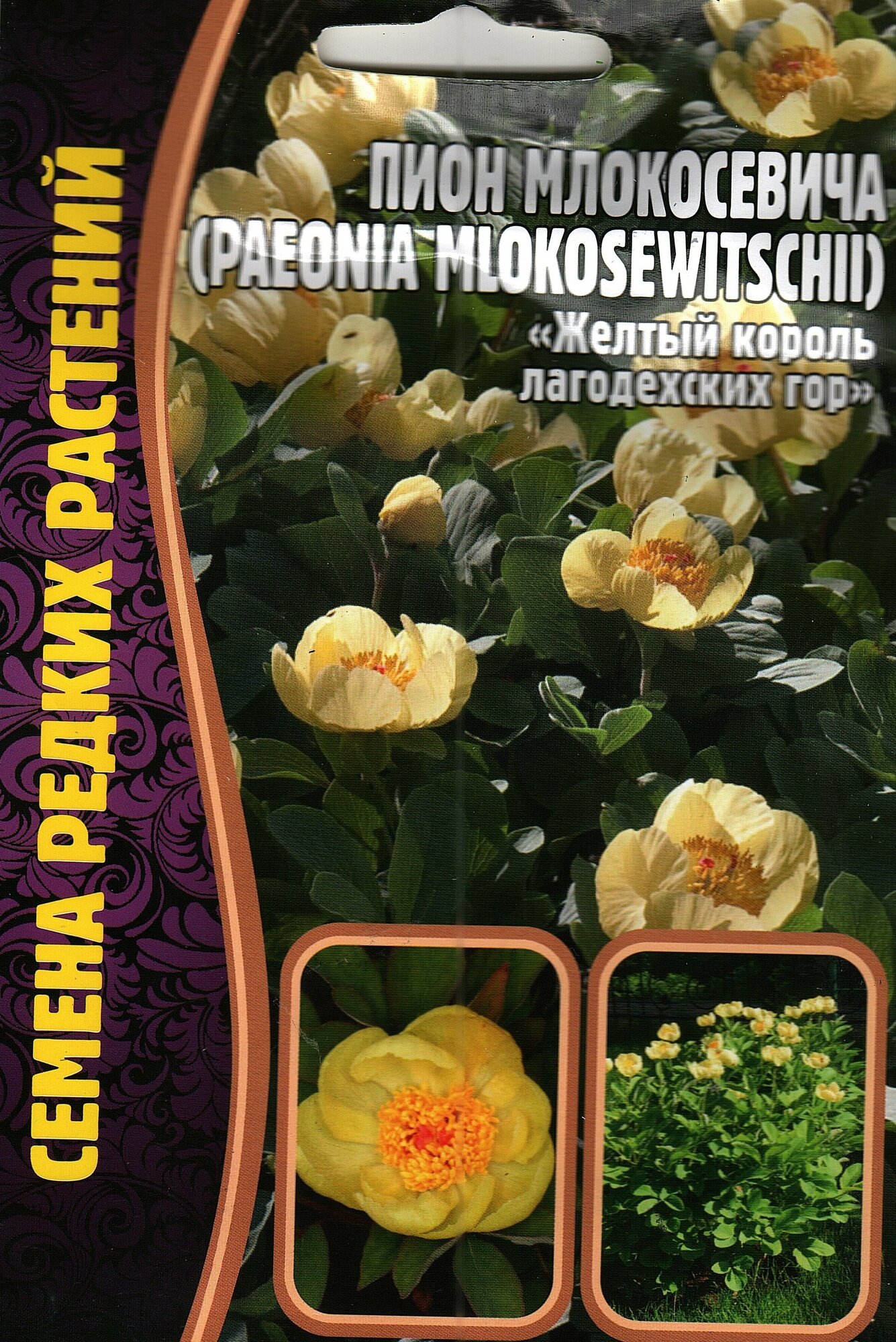 Пион млокосевича / paeonia mlokosewitshll (жёлтый король лагодехских гор) многолетник ( 1 уп: 3 семени )