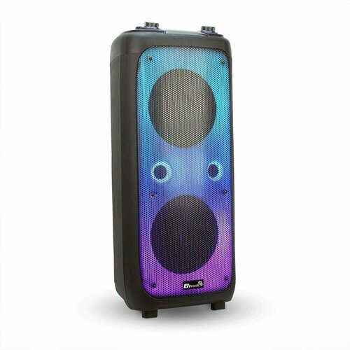 Портативная акустическая система ELTRONIC 20-62 FIRE BOX 1000 черный 2570100₽