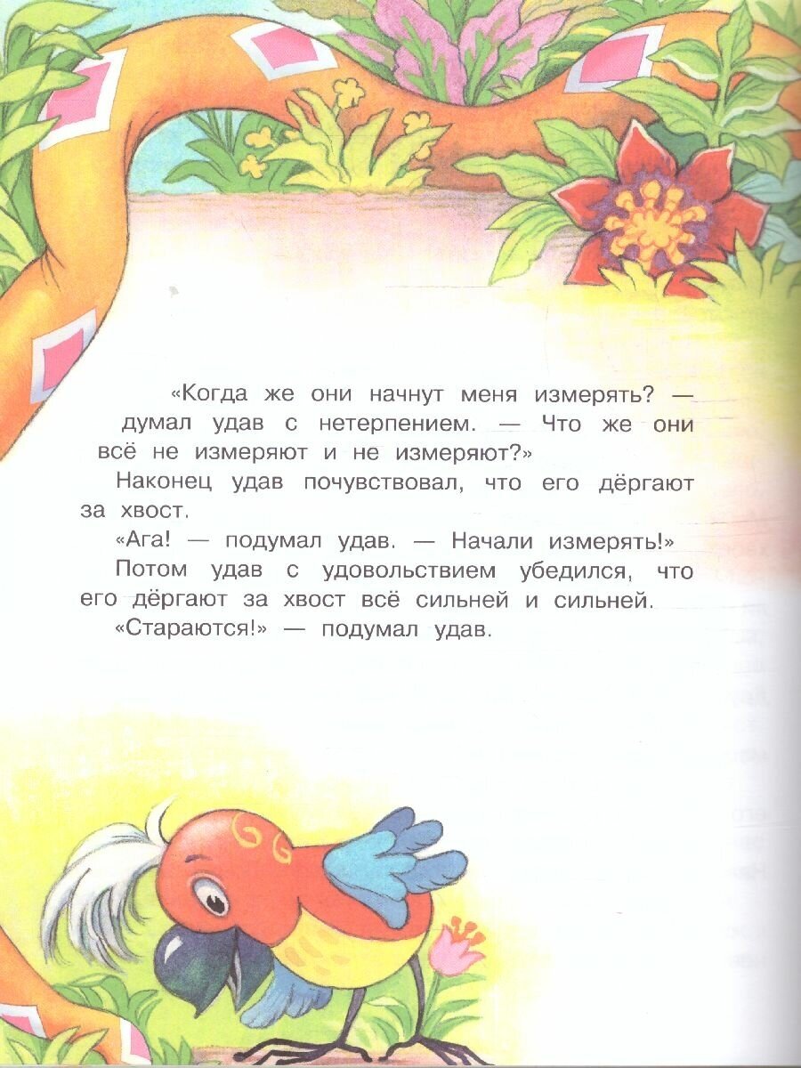 38 попугаев (Остер Григорий Бенционович) - фото №14