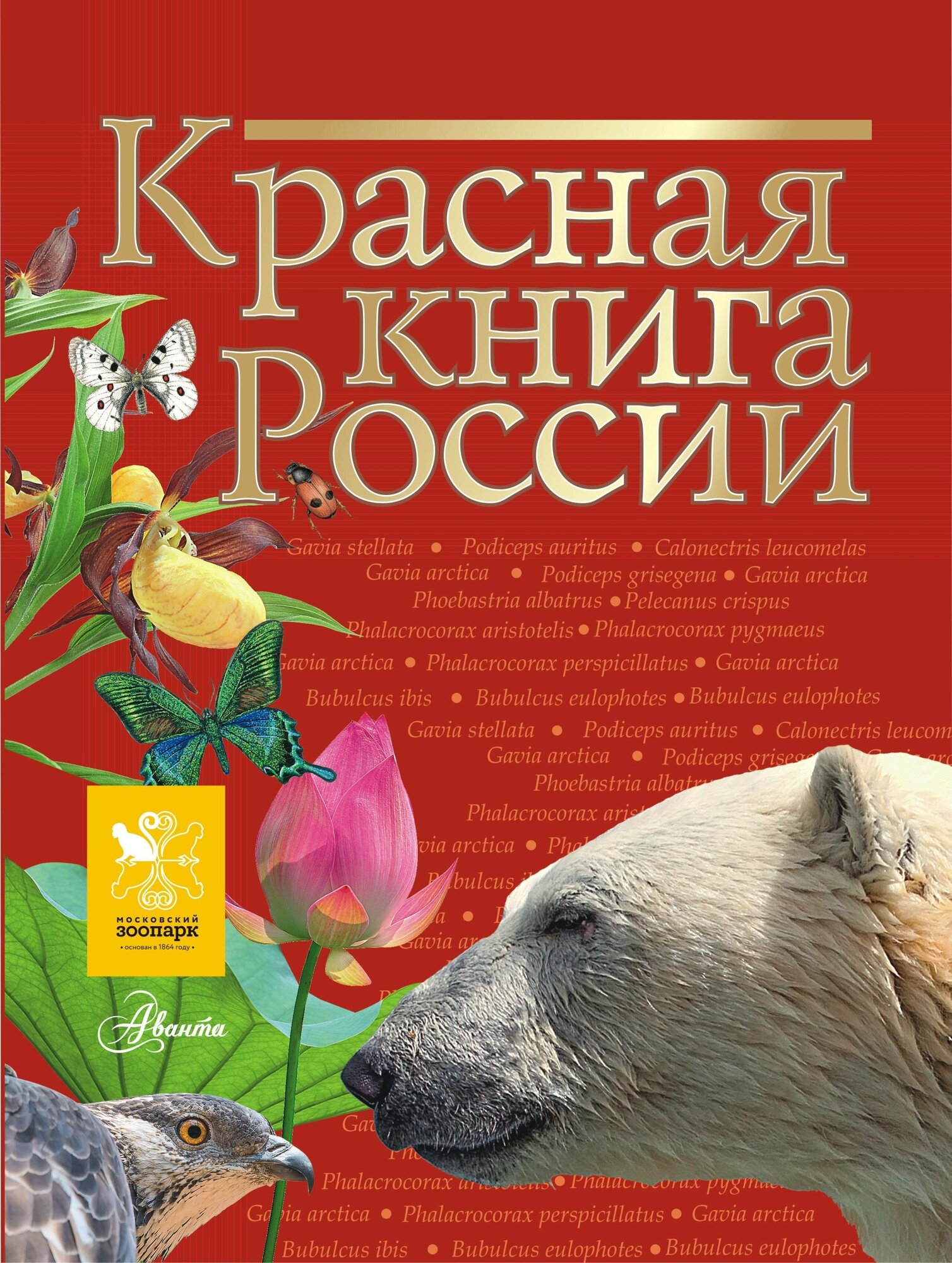 Красная книга России Пескова И. М, Дмитриева Т. Н, Смирнова С. В, Куксина Н. В, Зотова М. Г, Тимоханов В. А. и др.