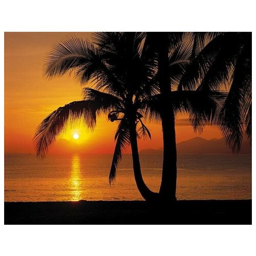 Фотообои Komar 8-255 Palmy Beach Sunrise 3,68*2,54 см синичкина т радуга над морем