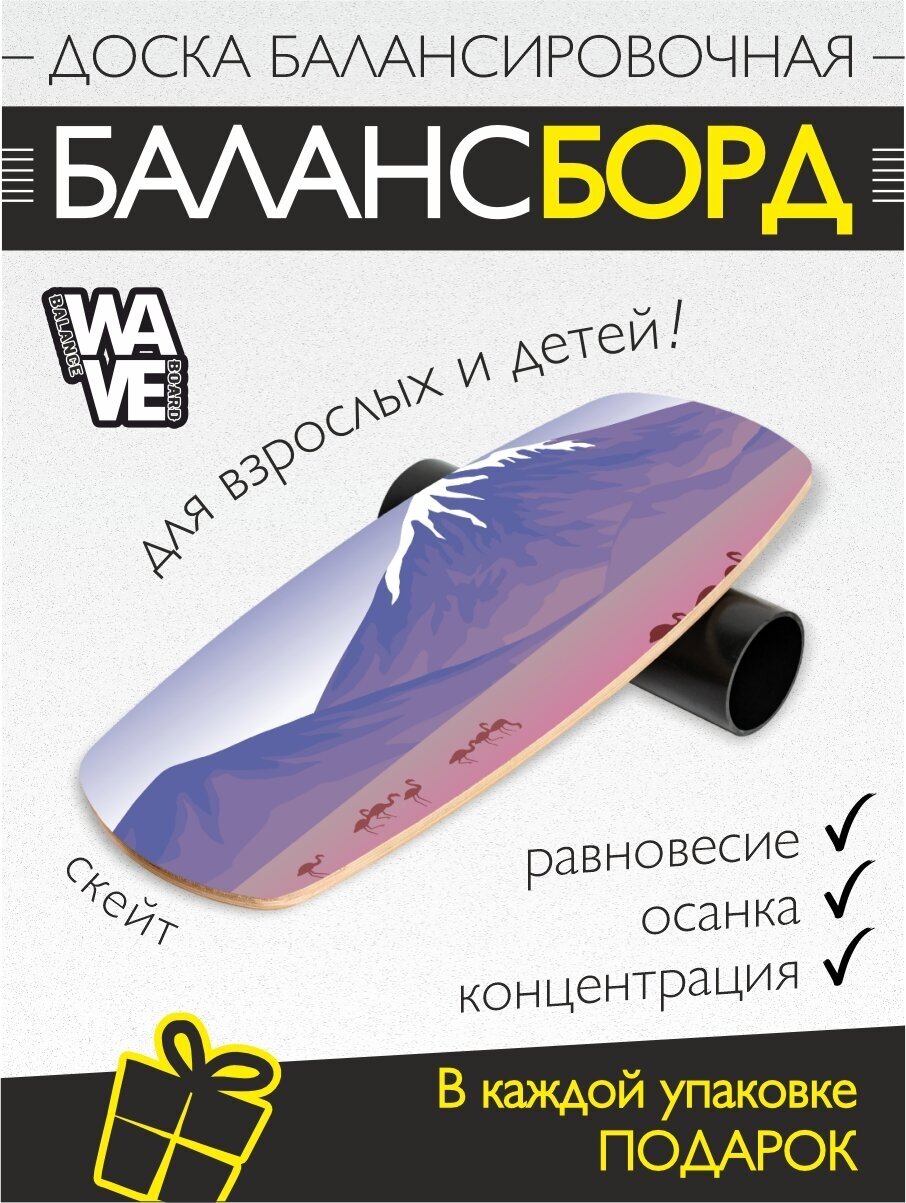 Доска балансировочная WAVE Skate + ролик + подарок