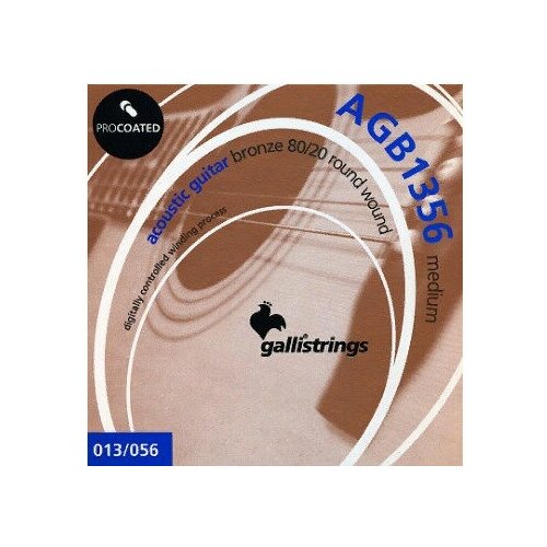 Струны для акустической гитары Galli Strings AGB1356