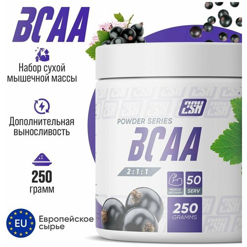 2SN BCAA powder 250g (Черная смородина) 2sn bcaa 2 1 1 powder 500 г черная смородина