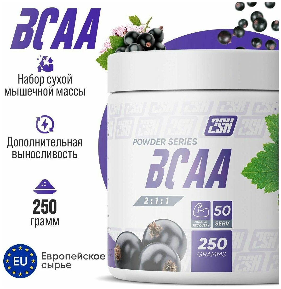 2SN BCAA powder 250g (Черная смородина)
