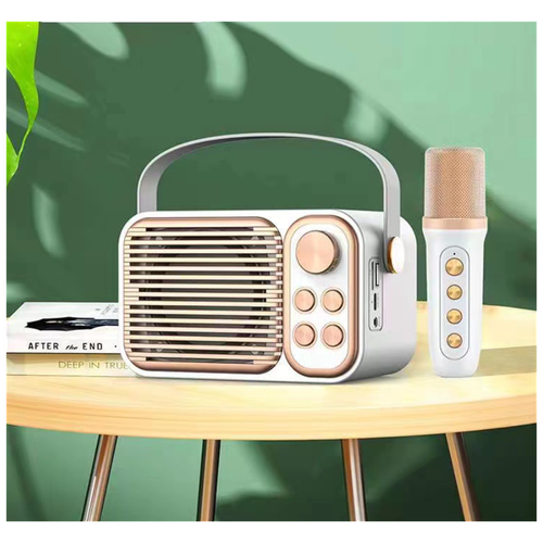 Портативный беспроводной микрофон Soundbox мини-колонка для караоке музыкальный плеер в стиле ретро с поддержкой TF-картыBluetooth-динамикБелый 367500₽