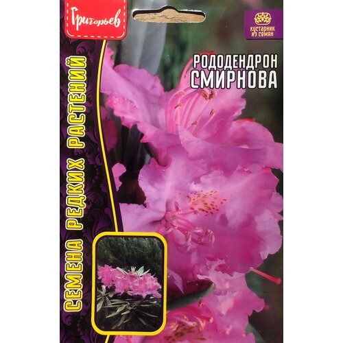 Семена Рододендрона Смирнова (10 семян) семена красивоцветущего рододендрона шлиппенбаха ф розовая медонос