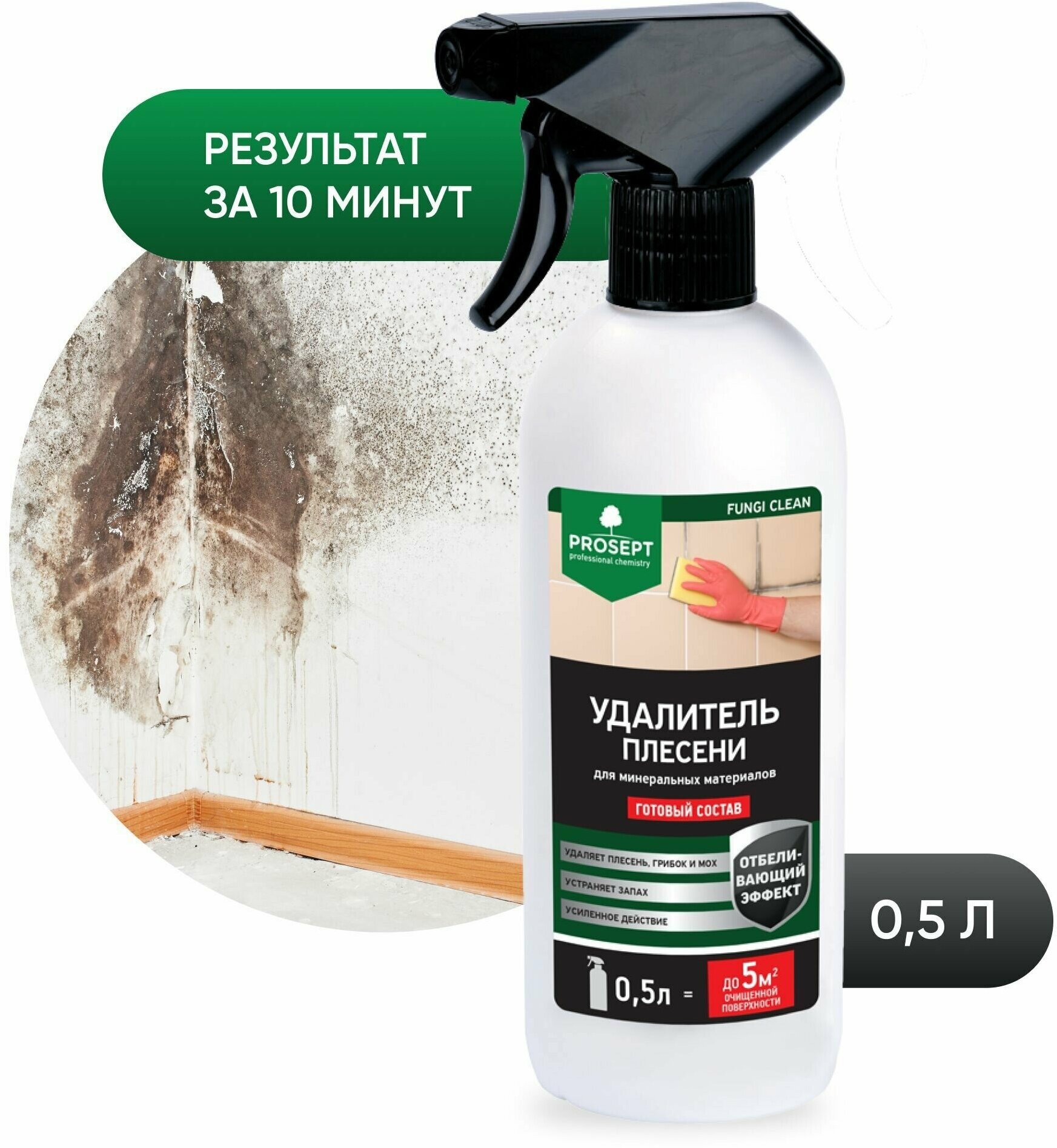 Fungi Clean для удаления плесени PROSEPT