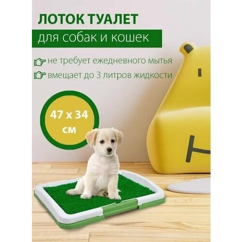 Туалет лоток для собак и кошек Puppy Potty Pad с ковриком зелёная травка, размер 47х36х6 см