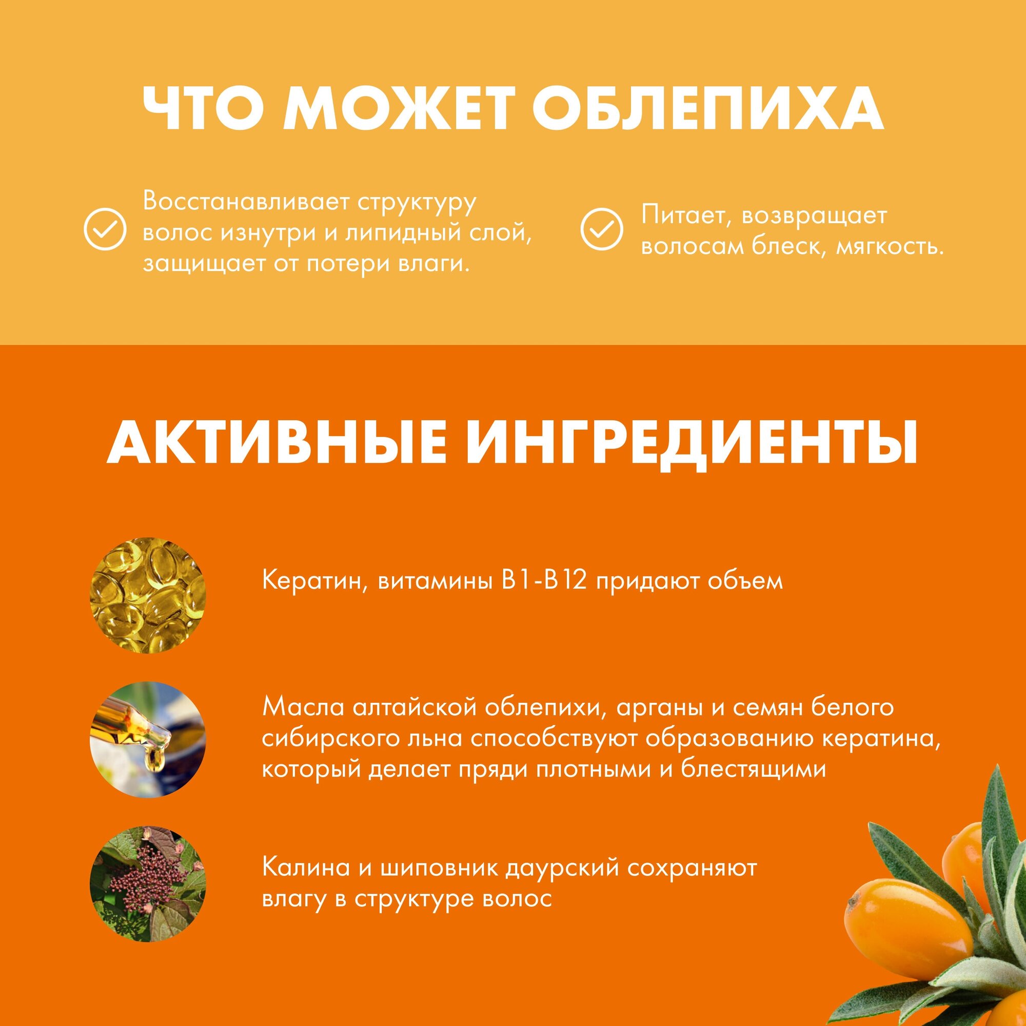 Обзор: Облепиховый шампунь для всех типов волос Natura Siberica, Oblepikha Siberica, 400 мл