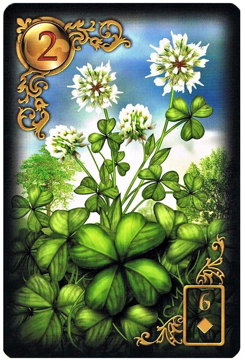 Карта ленорман клевер сочетание