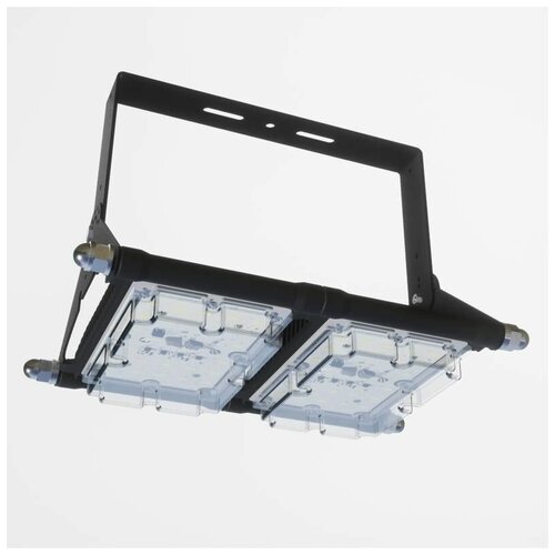 Светильник светодиодный «Стриж» ДСП19-100-Д ALB F6885